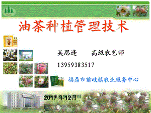 油茶种植与抚育管理技术精品课件.ppt