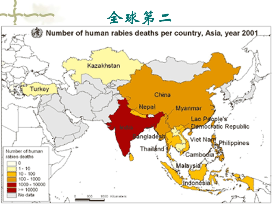 狂犬病暴露处置.ppt_第2页