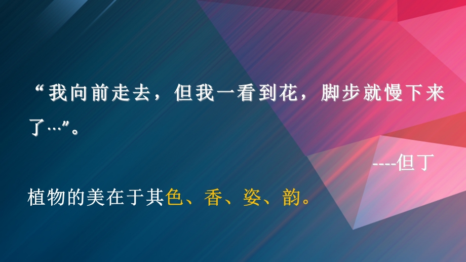 简析色彩在园林植物景观中的应用PPT.ppt_第2页