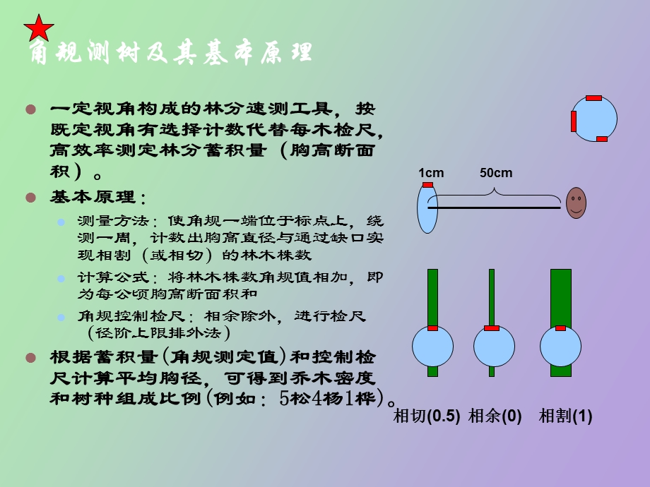 生态学野外实习.ppt_第2页