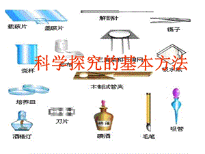 生物科学探究的基本方法.ppt