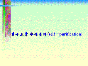 水体自净selfpurifica.ppt