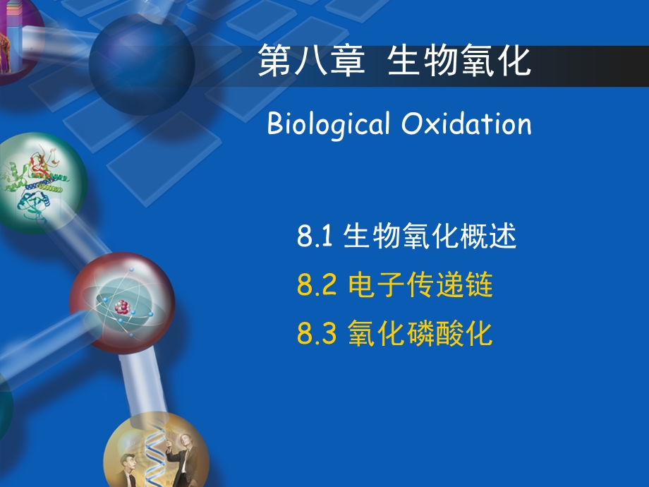 生物化学第五章-生物氧化-第二节-电子传递链.ppt_第1页