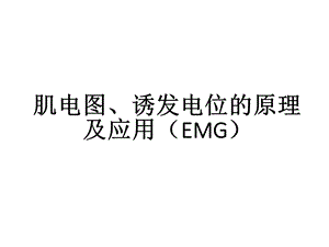 神经电生理基础-详细.ppt