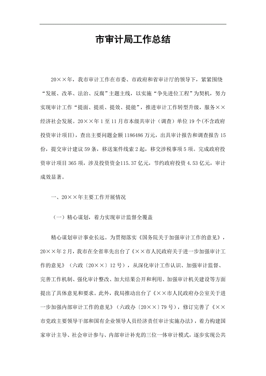 市审计局工作总结精选.doc_第1页