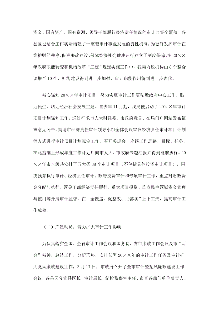 市审计局工作总结精选.doc_第2页