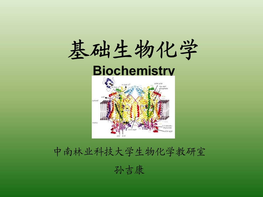 生物化学第1章绪论.ppt_第1页