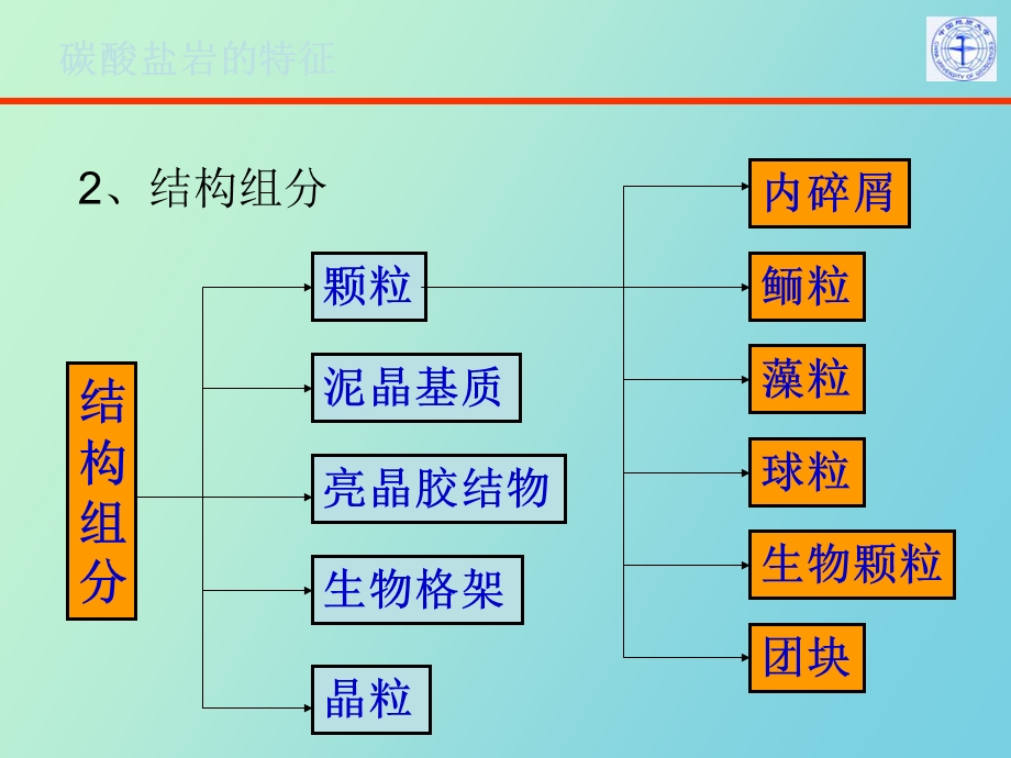 碳酸盐岩灰岩.ppt_第3页