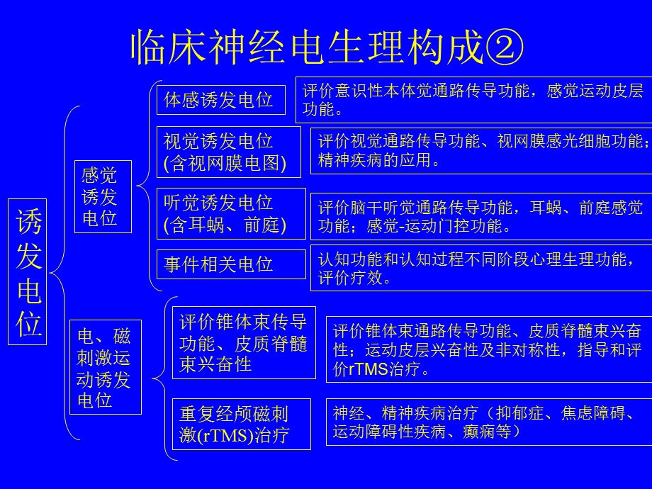 神经电生理诊疗在神经精神疾病的应用哈尔滨.ppt_第3页