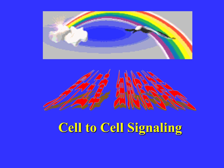 生物化学-细胞信号转导.ppt_第1页