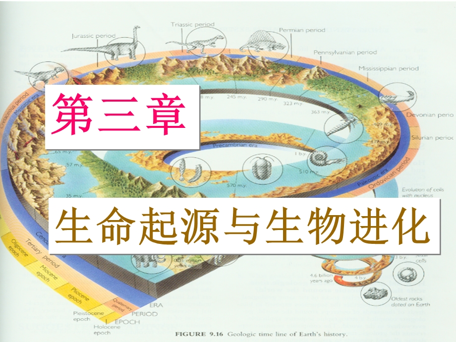 生命起源与生物发展.ppt_第1页