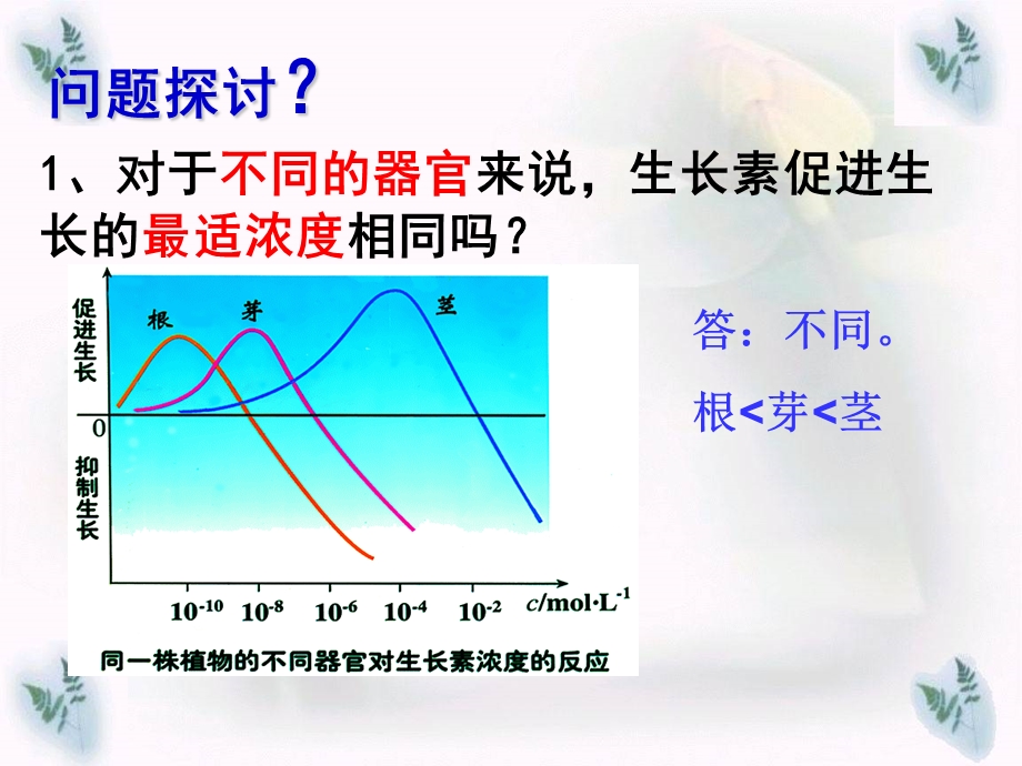 生长素IAA的生理作.ppt_第2页