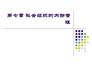 社会组织的内部管理.ppt