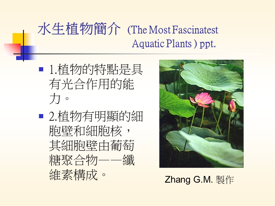 水生植物简介TheMostFascinatestAquaticPla.ppt_第1页