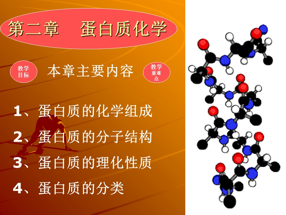 生化教案蛋白质化学.ppt_第1页