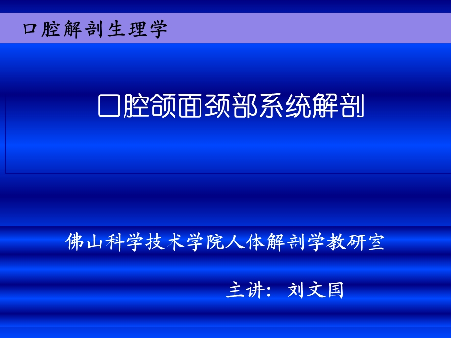 口腔面颈部系统解剖上下颌骨 ppt课件.ppt_第1页