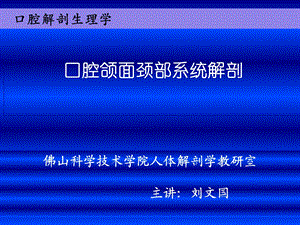 口腔面颈部系统解剖上下颌骨 ppt课件.ppt