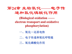 生物化学第24章生物氧化.ppt