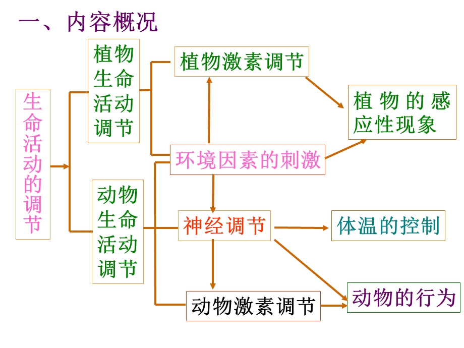 生物生命活动的调节.ppt_第2页