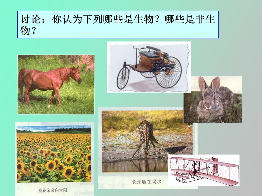 生物与非生物.ppt_第2页