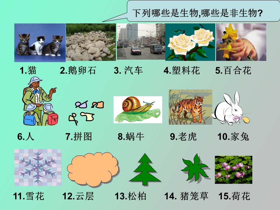 生物与非生物.ppt_第3页