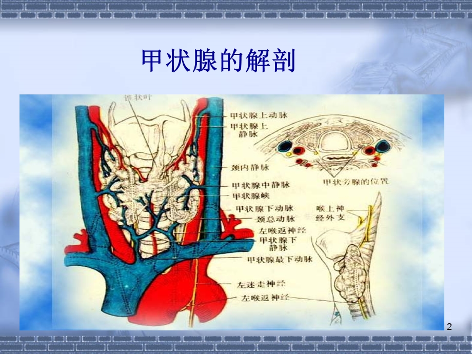 甲状腺B超检查ppt课件.ppt_第2页