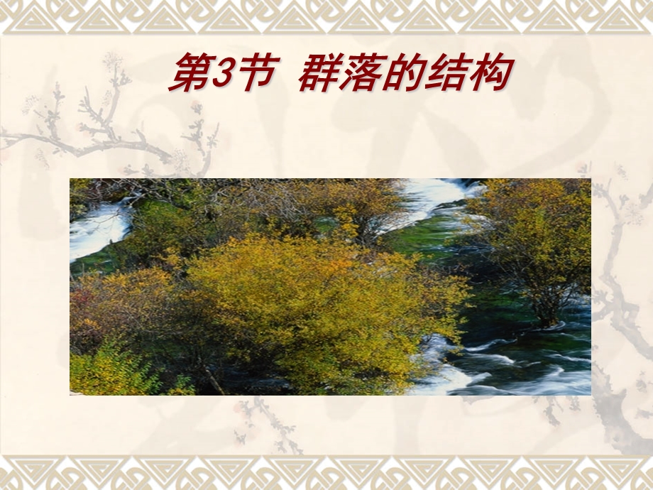 生物必修三第四章第三节群落的结构.ppt_第1页