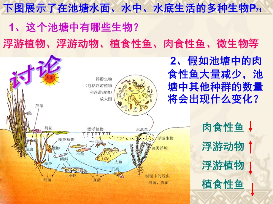 生物必修三第四章第三节群落的结构.ppt_第3页