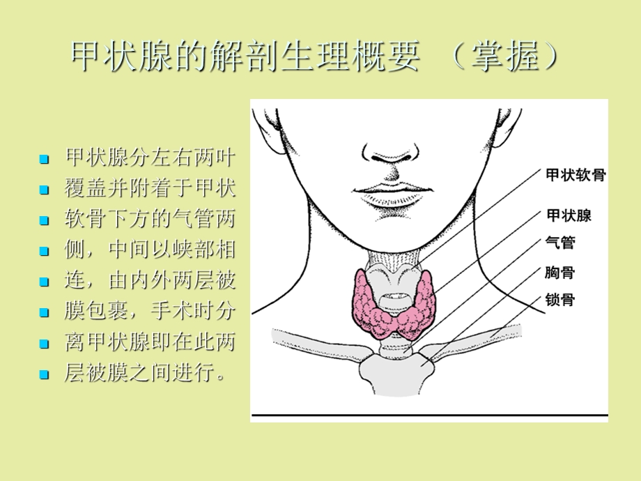 甲状腺疾病病人的.ppt_第2页