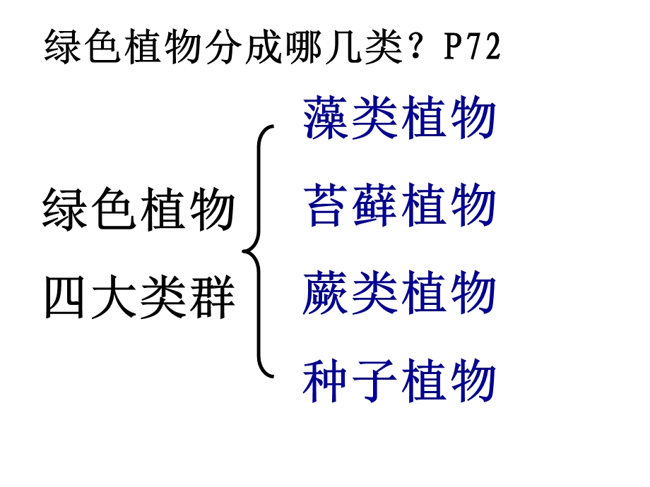 生物圈中的绿色植物总复习.ppt_第3页