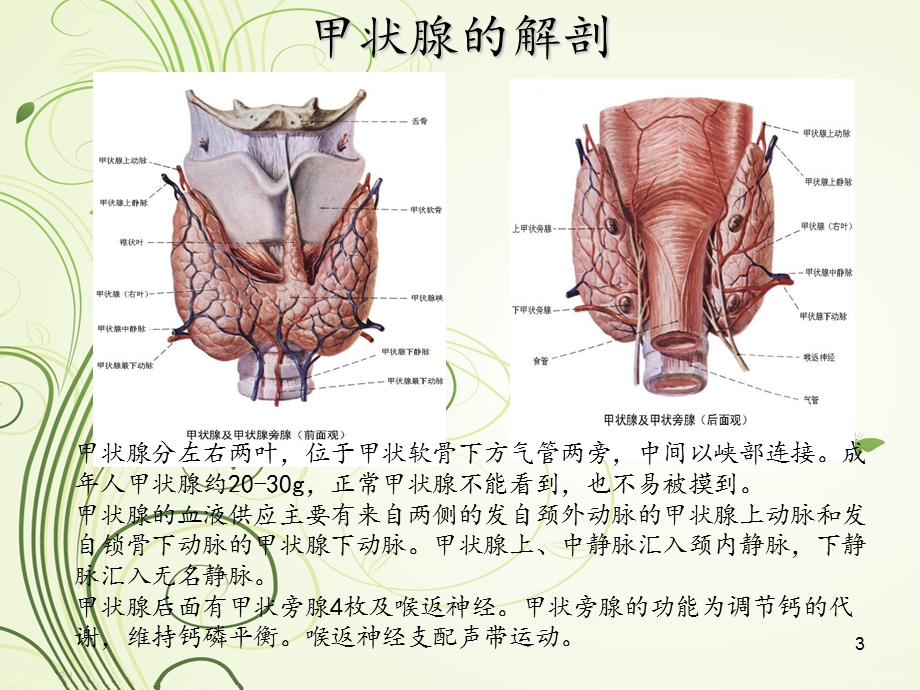 甲状腺肿瘤及防治ppt课件.ppt_第3页