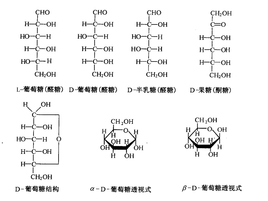 省竞赛辅导-生物化学.ppt_第3页