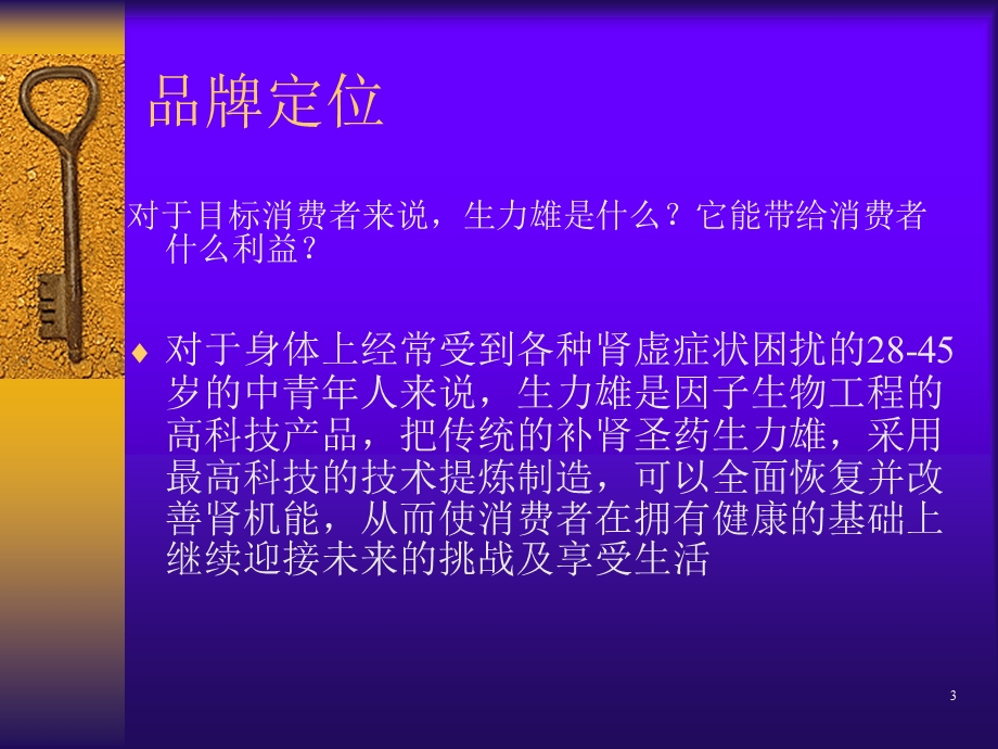 生力雄丸品牌策划提案.ppt_第3页