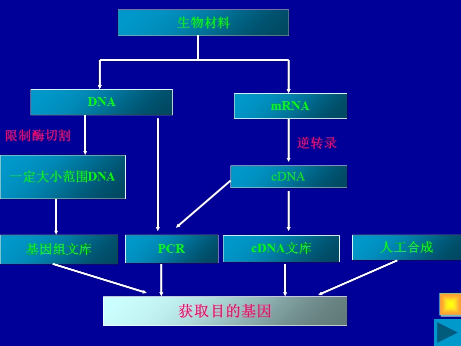 省生物教学学会年会报告.ppt_第3页