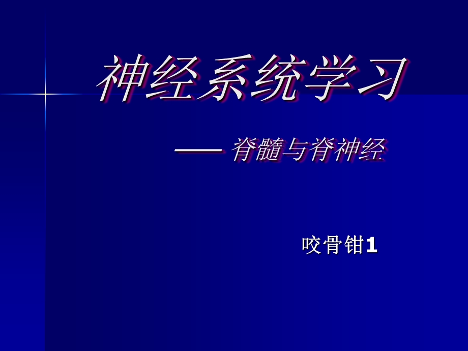 神经系统学习-脊髓与脊神经.ppt_第1页