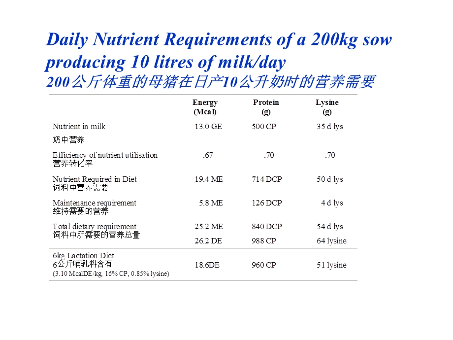 现代哺乳母猪的特点.ppt_第3页