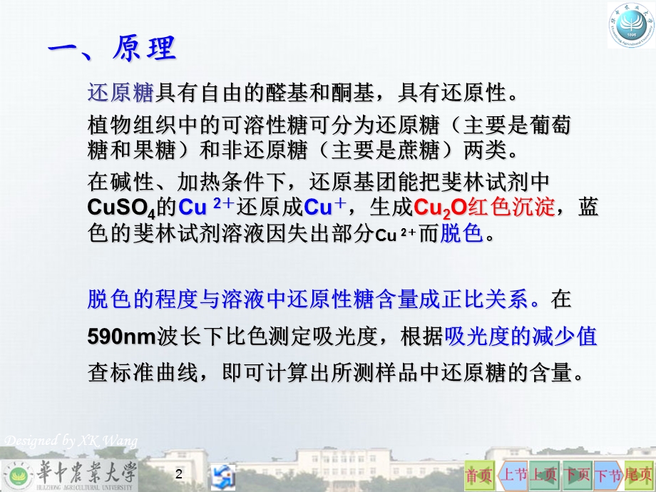 生化实验03斐林试剂比色法测还原糖含量.ppt_第2页