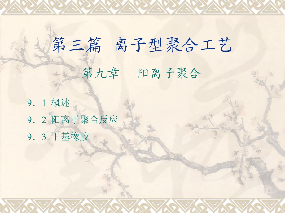 离子型聚合工艺.PPT_第1页