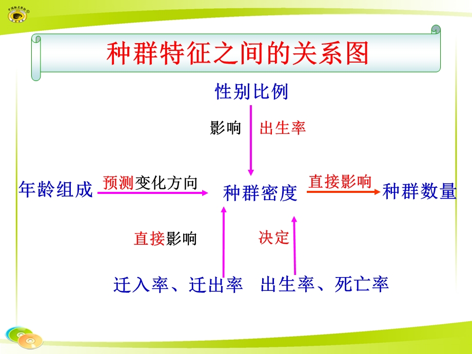 种群特征之间的关系图知识框架.ppt_第1页