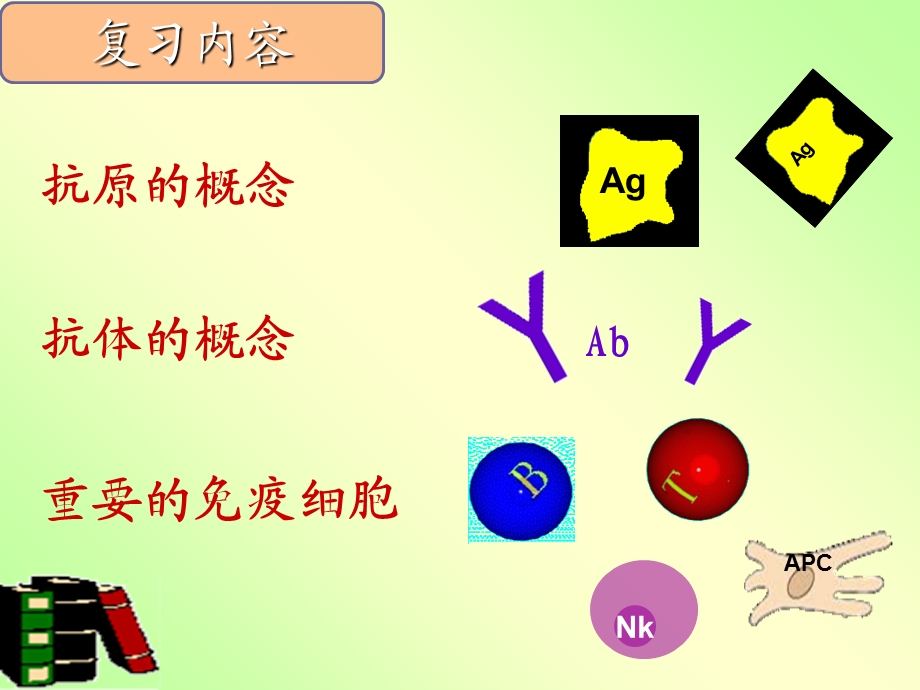 演示稿免疫应答80分钟.ppt_第3页