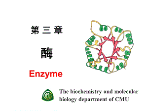 生物化学-酶主要内容.ppt