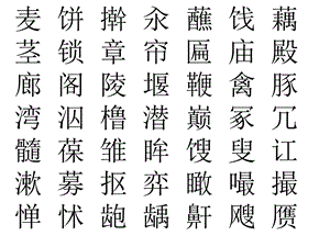 汉字大比拼初中组答案.ppt