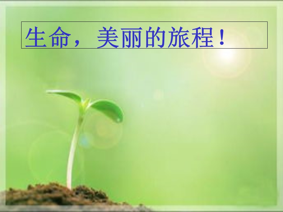 生命真美好主题班会.ppt_第2页