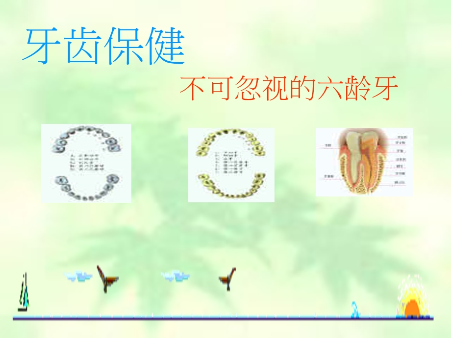 牙齿保健不可忽视的六龄牙.ppt_第1页