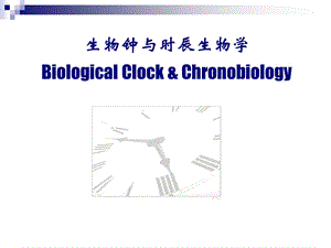 生物钟与时辰生物学.ppt