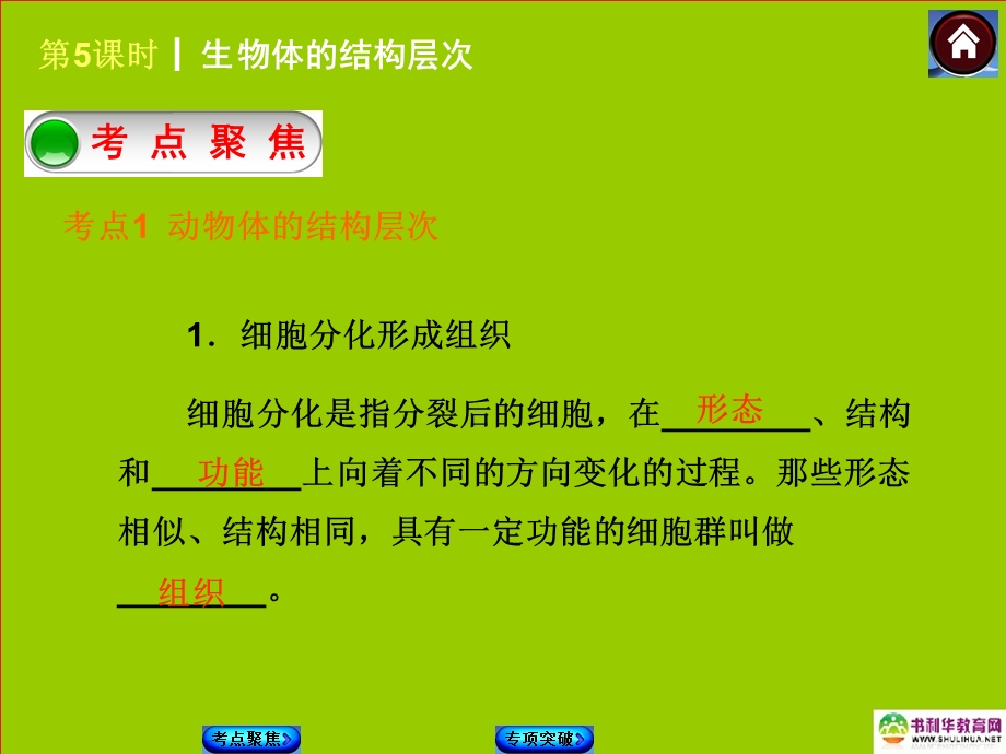 物体的结构层次.ppt_第2页