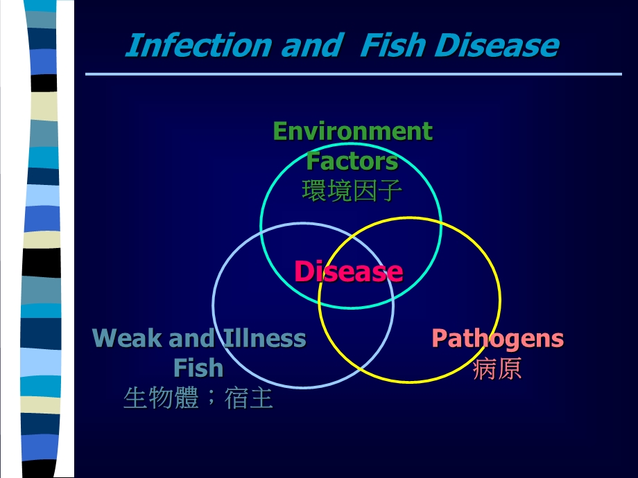 水产养殖之药物应用与防治.ppt_第2页