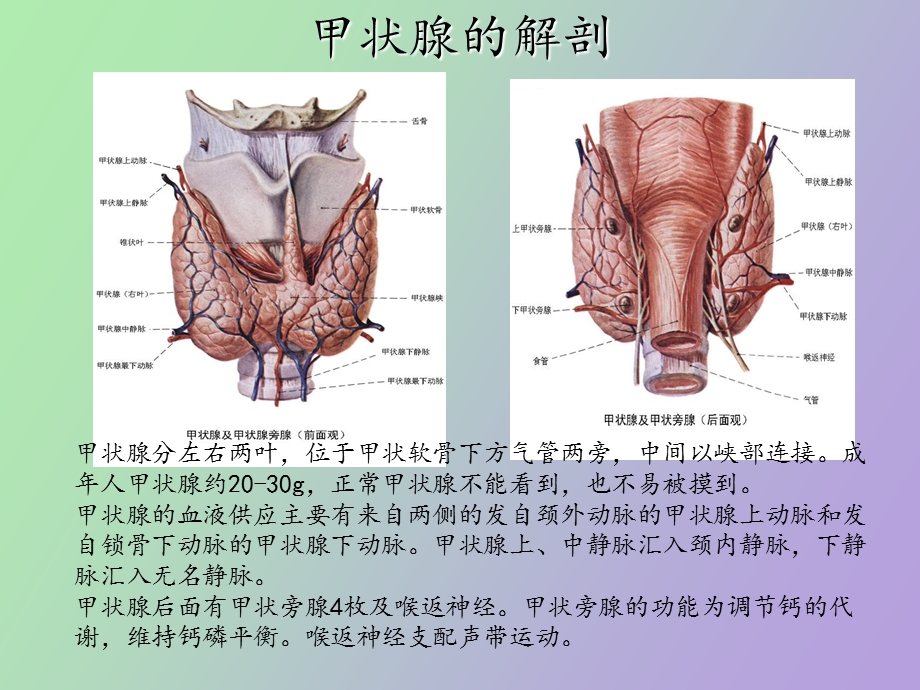 甲状腺肿瘤及防治.ppt_第3页