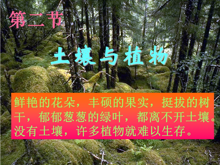 科学《土壤与植物》ppt课件(共40张PPT).ppt_第3页