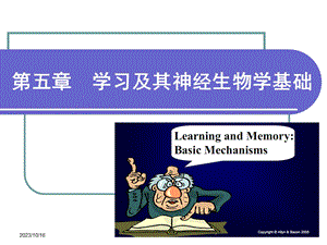 生理心理学第五章-学习.ppt